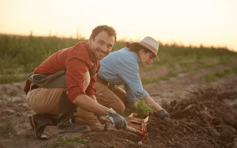 PRONAF e o desenvolvimento rural sustentável!